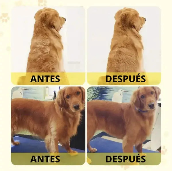 Cepillo de vapor para mascotas